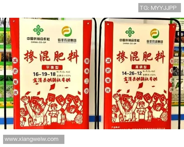 广州篮球队反击革新之路：重塑战术与团队精神的全面探索